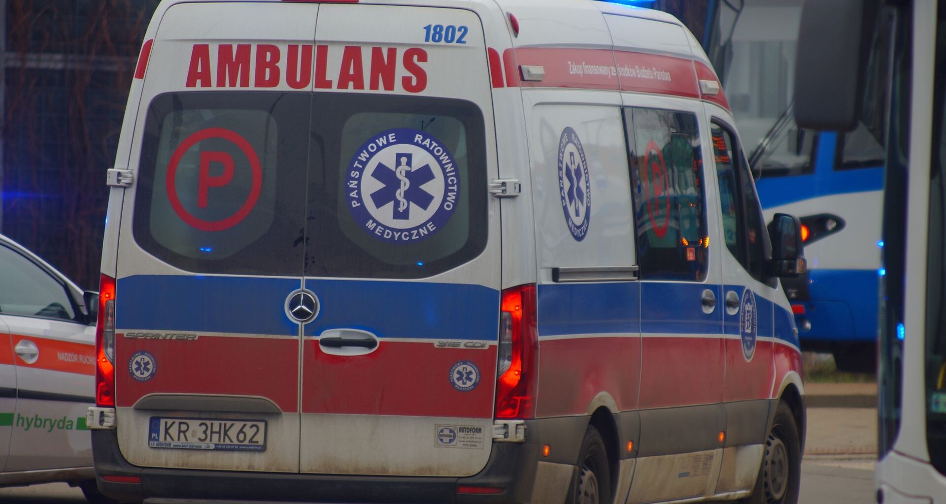 Polska liderem dyni w UE. Co napędza boom i gdzie trafiają zbiory?