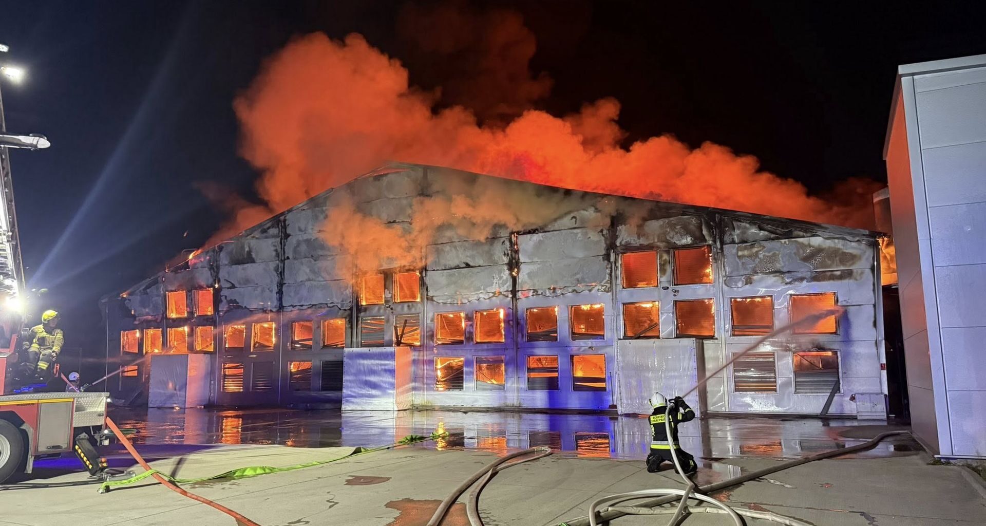 Pluskwy w szkole w Warszawie. Trzeba odwołać zajęcia