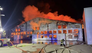 Pluskwy w szkole w Warszawie. Trzeba odwołać zajęcia