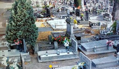 Nietypowa akcja na cmentarzu. Nagle policjanci usłyszeli dźwięk zza nagrobka