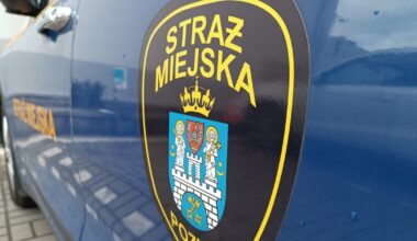 Zdjęcie ilustracyjne / fot. straż miejska