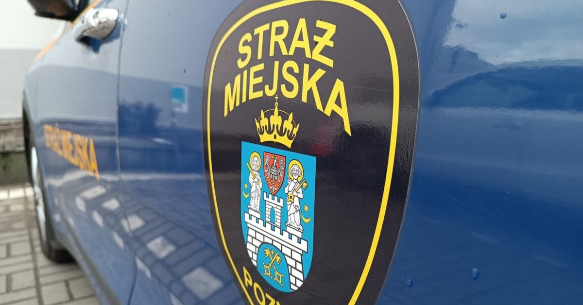 Zdjęcie ilustracyjne / fot. straż miejska