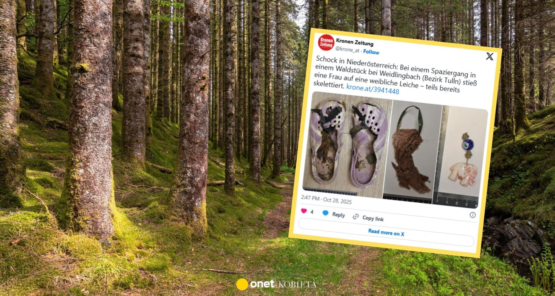 Makabryczne odkrycie w lesie pod Wiedniem. Na szlaku "siedział" szkielet