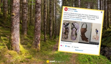 Makabryczne odkrycie w lesie pod Wiedniem. Na szlaku "siedział" szkielet