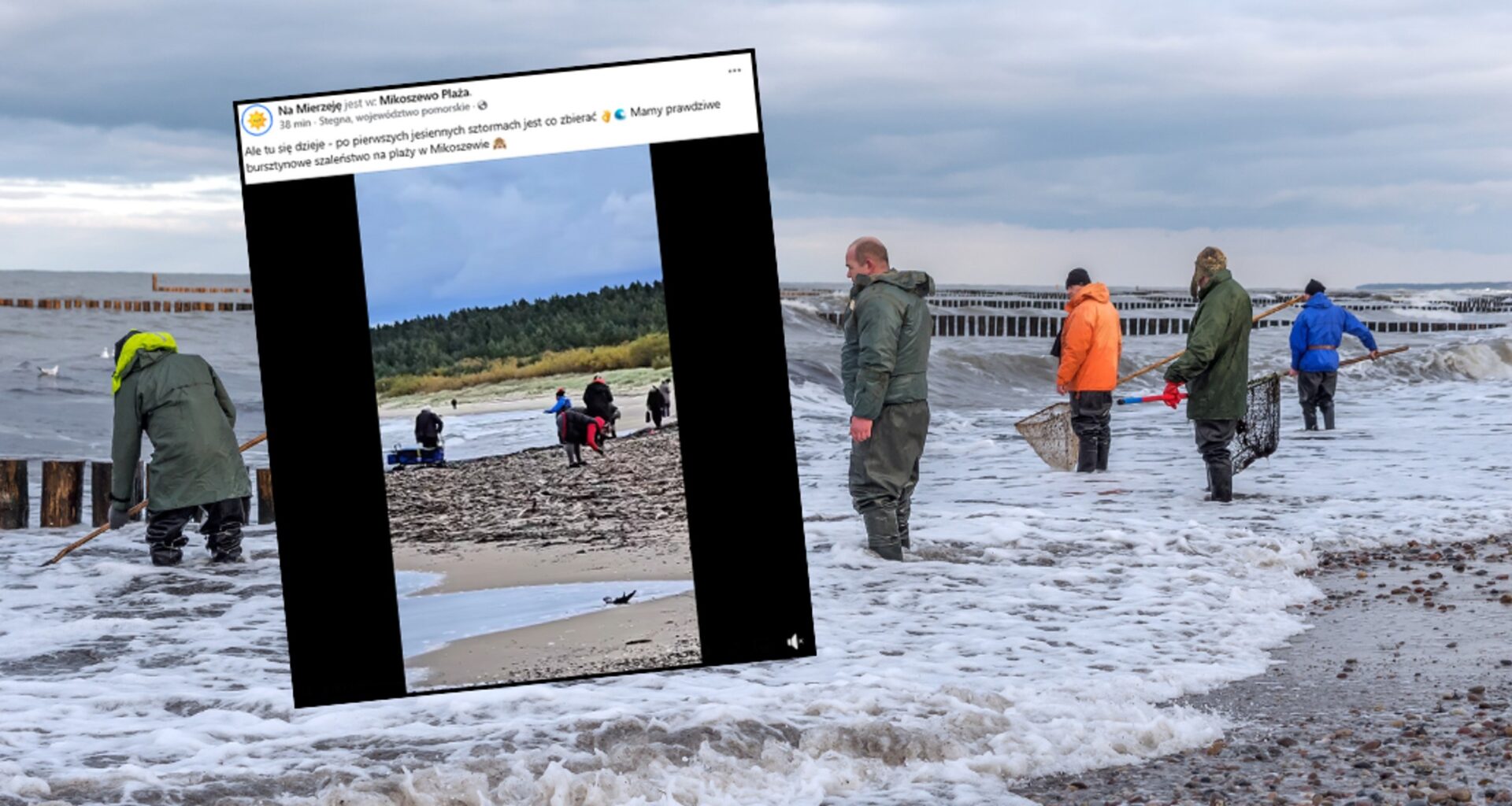 Turystom szukają nad Bałtykiem wyjątkowego skarbu (w tle zdjęcie ilustracyjne)