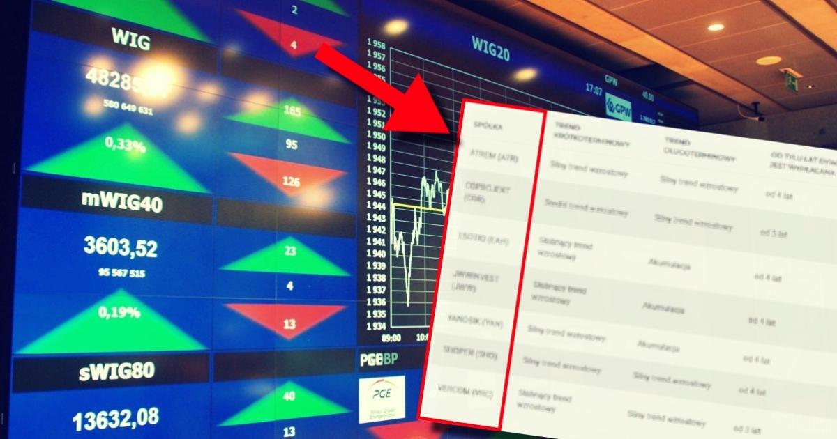 7 ciekawych spółek w trendzie wzrostowym, które mogą być dywidendowe
