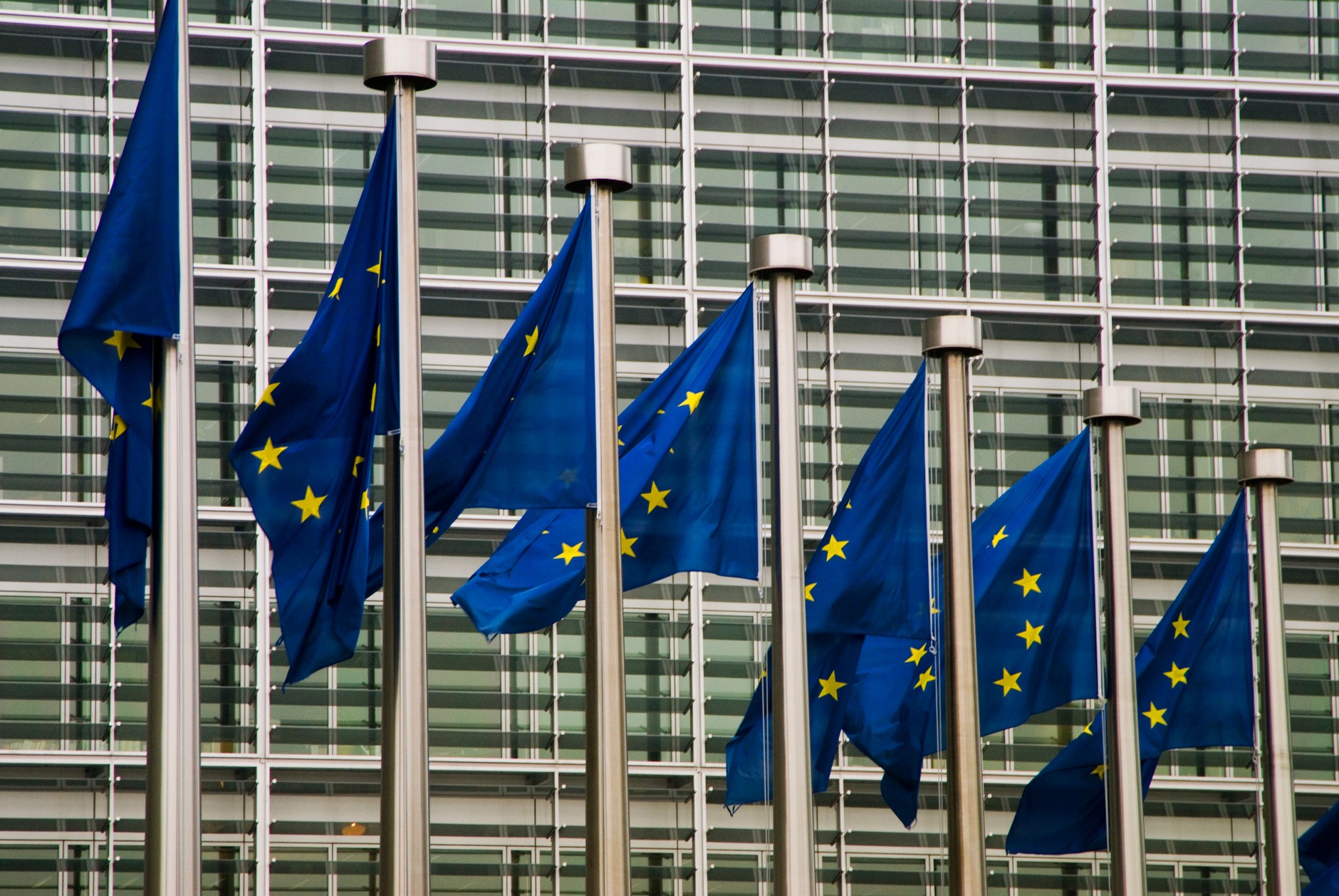 Flagi Unii Europejskiej w Brukseli
