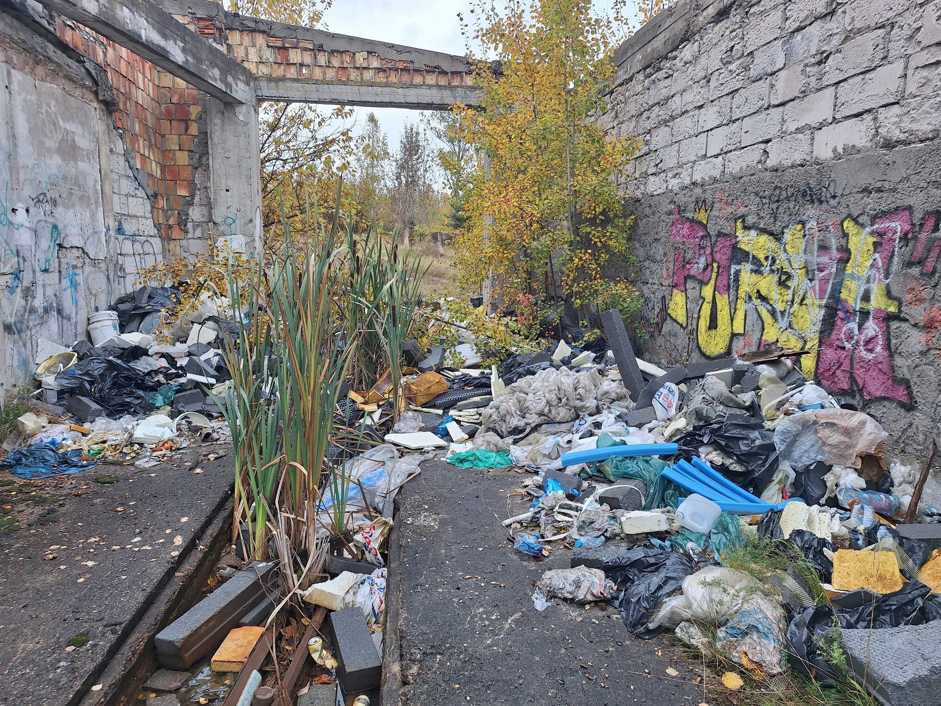 Śmieci, w których zostały znalezione wojskowe dokumenty