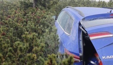 Skradzione auto ukryte wysoko w górach. Złodzieje zaparkowali w kosodrzewinie