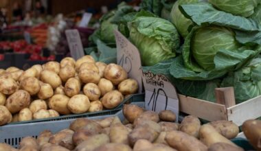 Sezonowe owoce i warzywa często są tańsze w polskich sklepach