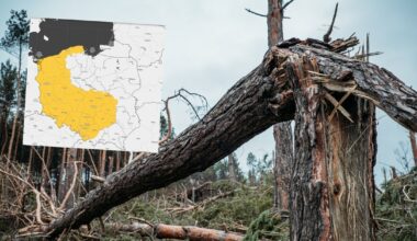 W część Polski uderzy wichura. W tych regionach IMGW może wydać alerty - Onet