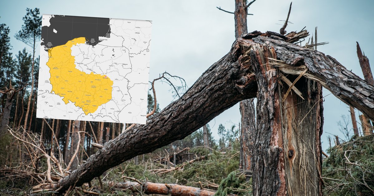 W część Polski uderzy wichura. W tych regionach IMGW może wydać alerty - Onet