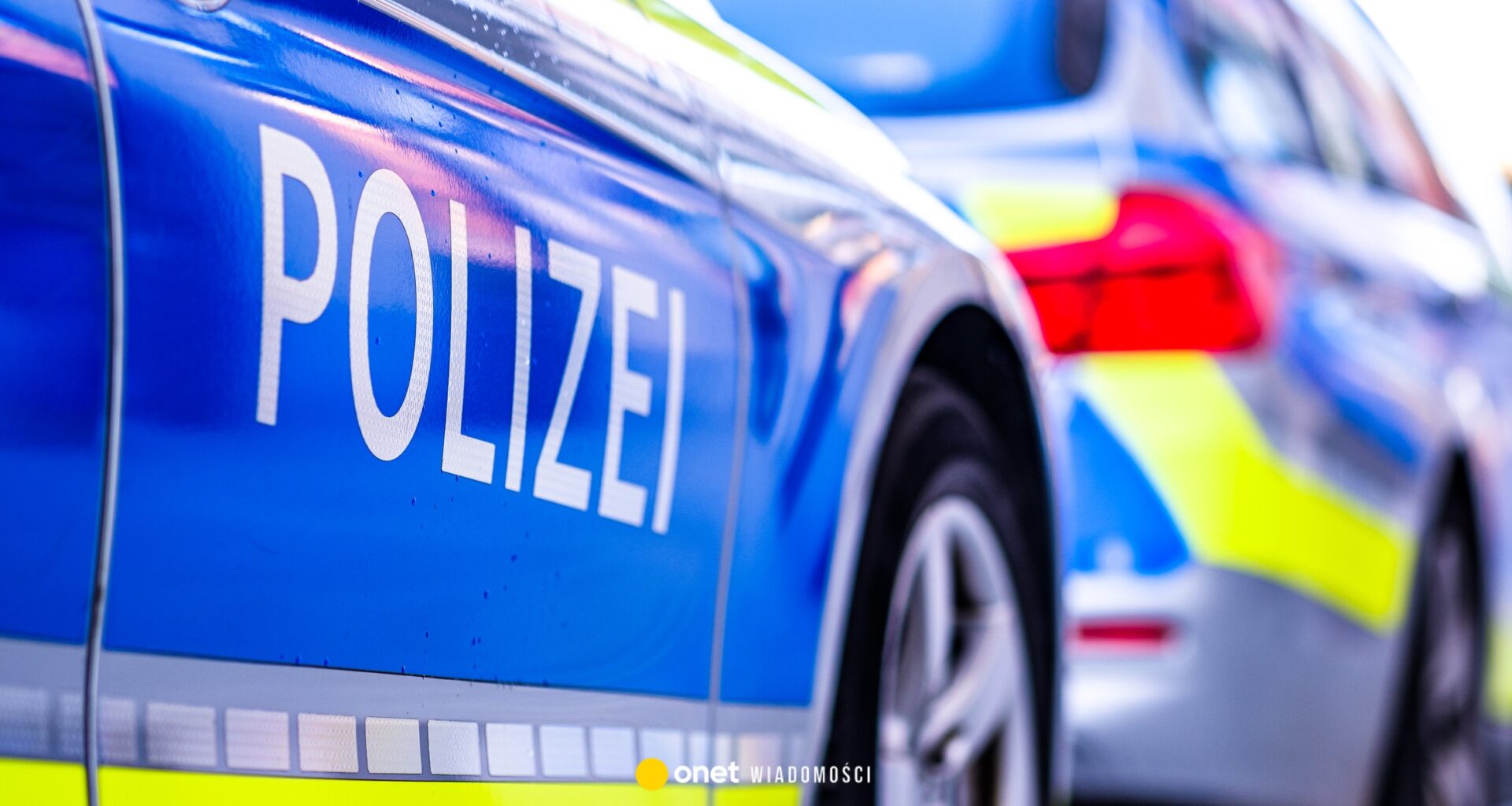 Wstrząsająca zbrodnia w Niemczech. Zwłoki 8-latka w zaroślach