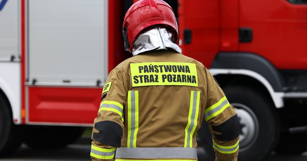 Pożar hali na Śląsku. Trwa akcja służb - Onet