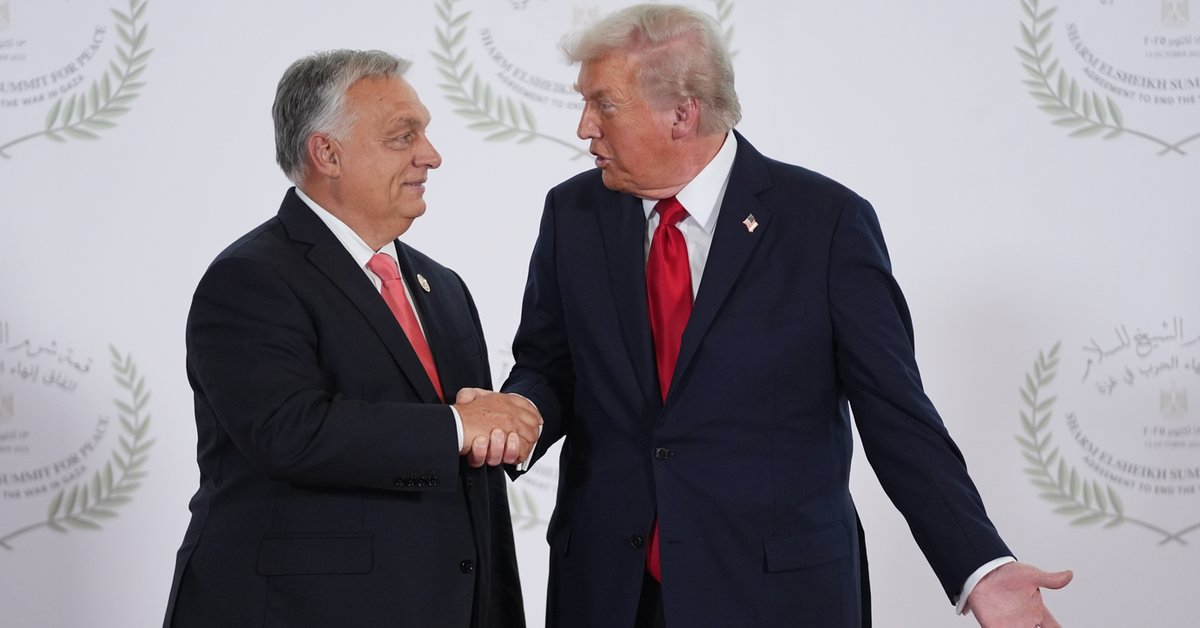 Donald Trump nagle przerwał przemówienie w Szarm el-Szejk. "Gdzie jest Viktor?"