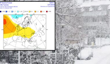 Czeka nas prawdopodobnie dość ciepła zima, ale bez spektakularnych anomalii