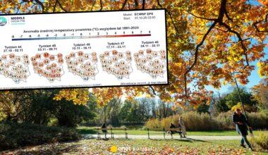 W listopadzie czeka nas niespodzianka. Pogoda będzie odbiegać od normy