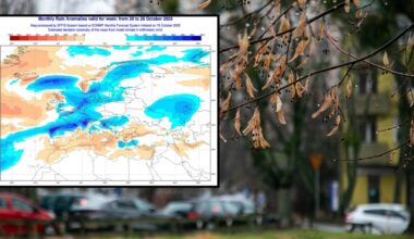 Przełom października i listopada ma nam upłynąć z przeciętnymi temperaturami
