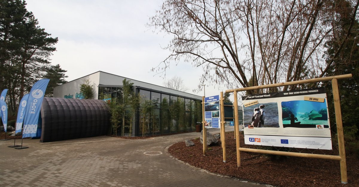 Przerażające odkrycie w zoo w Opolu. Po latach ujawnili zalegające zwłoki zwierząt