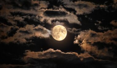 Pełnia księżyca październik 2025. Zobaczymy superksiężyc i deszcz meteorów