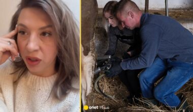 Oburzenie widzów po emisji "Rolnik szuka żony". Głos zabrała Małgorzata Borysewicz