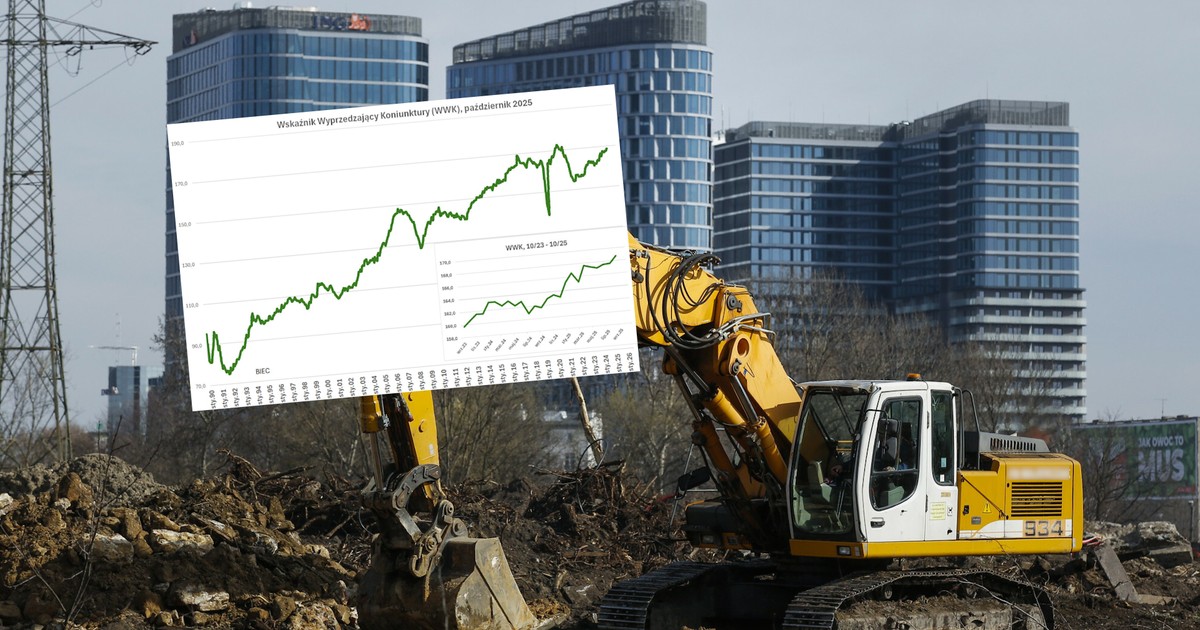 Polska gospodarka z "mozolnym ożywieniem". Przełomu wciąż brak