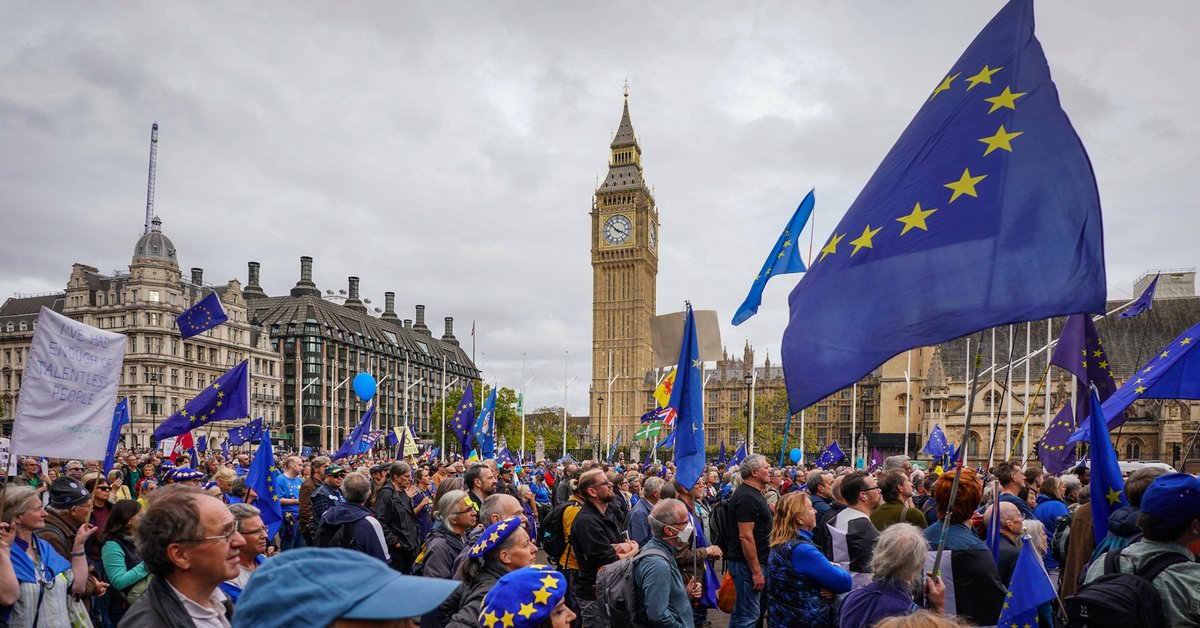 Protest zwolenników UE przed budynkiem brytyjskiego parlamentu z okazji czwartej rocznicy brexitu,  Londyn, Wielka Brytania, 31 stycznia 2024 r.