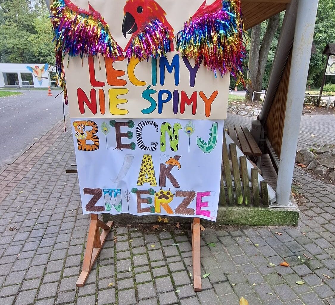 Poznańskie ZOO wydało oświadczenie w sprawie niedzielnego maratonu, który przebiegł przez fragment ogrodu zoologicznego