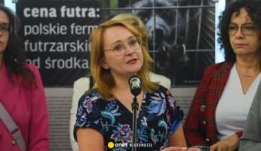 Projekt o zakazie hodowli zwierząt na futra wrócił do komisji sejmowej