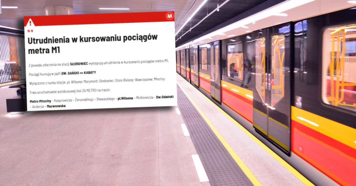 Pies w tunelu metra. Potężne utrudnienia w Warszawie - Onet