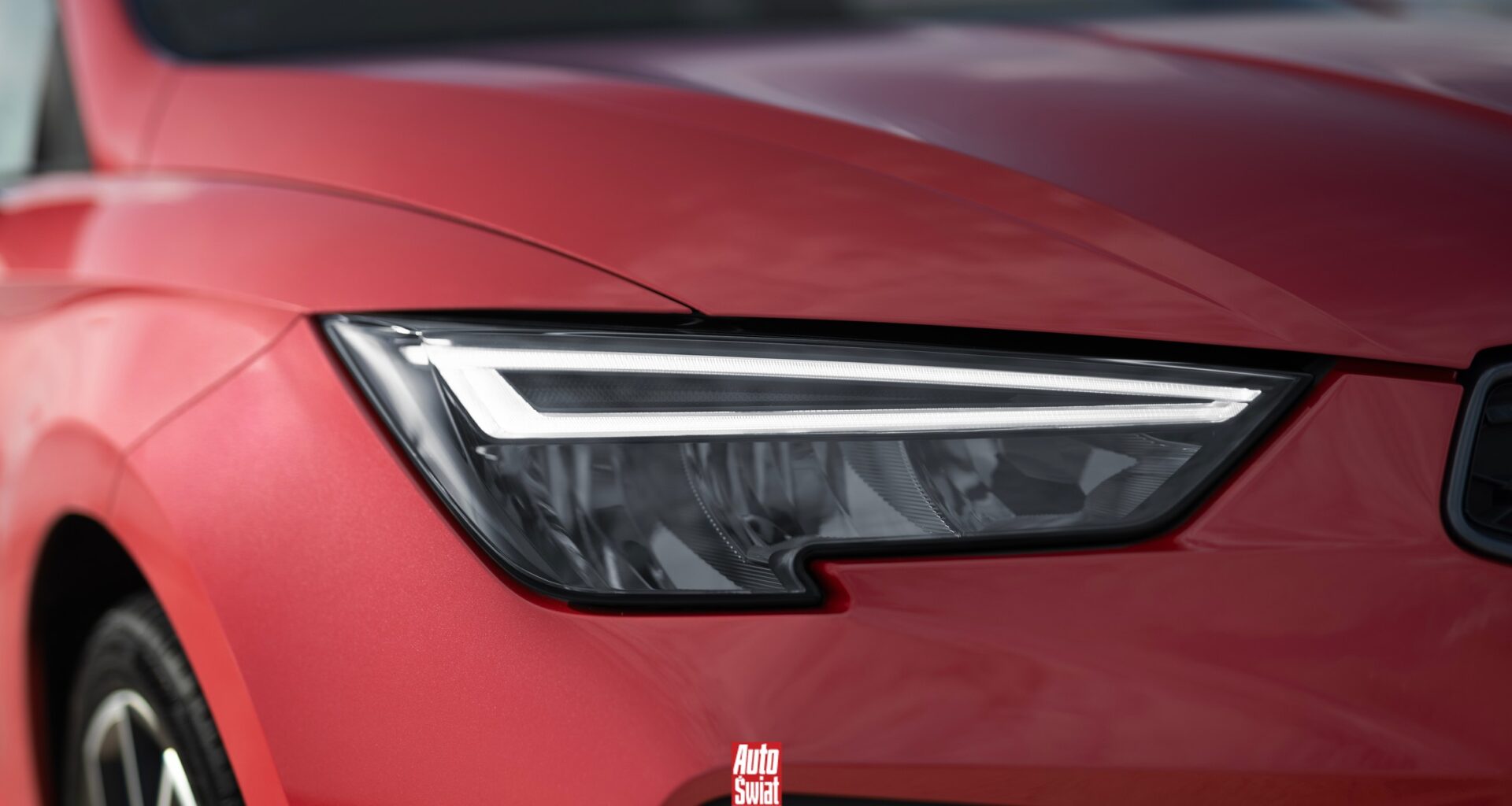 Nowy Seat Ibiza pokazany. Tak teraz będzie wyglądać najlepiej sprzedający się Seat w historii