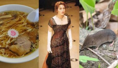 Quiz wiedzy ogólnej na literę R! Pytania są proste, ale wynik powyżej 8/15 to wyzwanie. Podołasz?