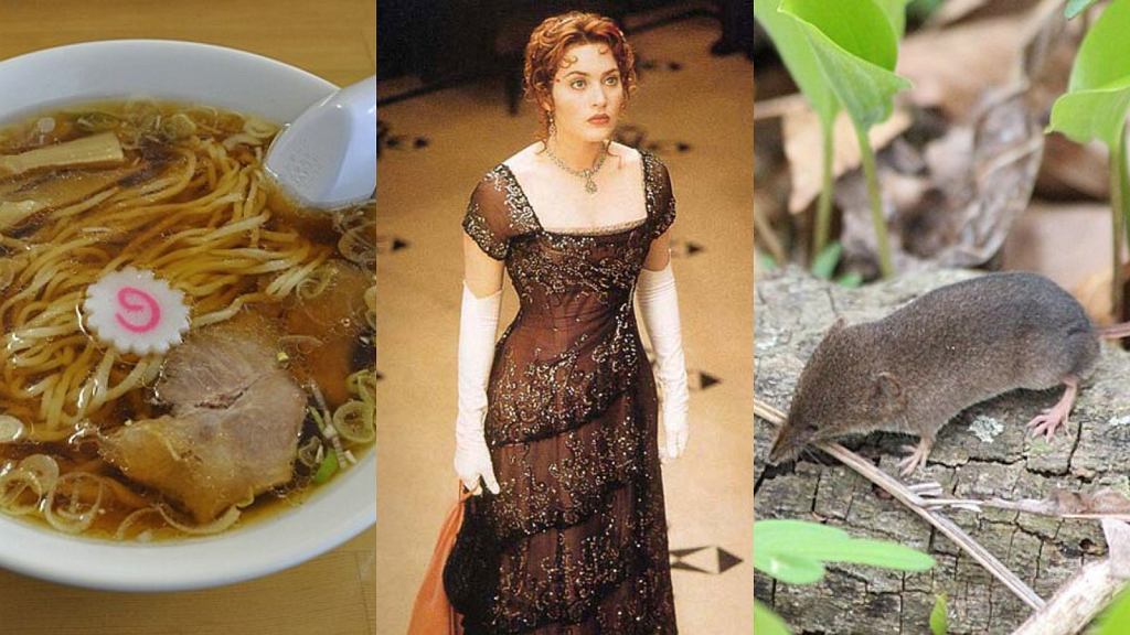 Quiz wiedzy ogólnej na literę R! Pytania są proste, ale wynik powyżej 8/15 to wyzwanie. Podołasz?