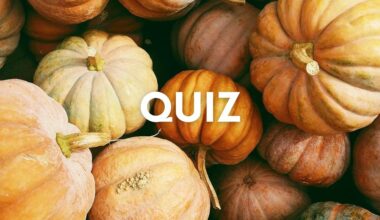 Jesienny quiz wiedzy ogólnej. Jeśli nie masz obszernej wiedzy odpadniesz na 5. pytaniu. Przekonaj się!
