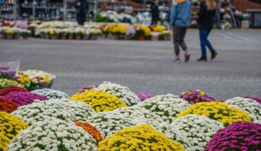 Nowe zasady na cmentarzach przed 1 listopada. Nawet 5000 zł kary