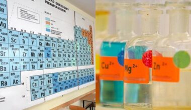 Uważałeś na lekcjach chemii w szkole? Jeśli tak, to z pewnością dobrze znasz te pierwiastki chemiczne!