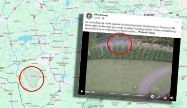 Wstrząsające nagranie z Brennej. Dwa psy zaatakowały dziecko. 'Mieszkańcy boją się tamtędy chodzić'