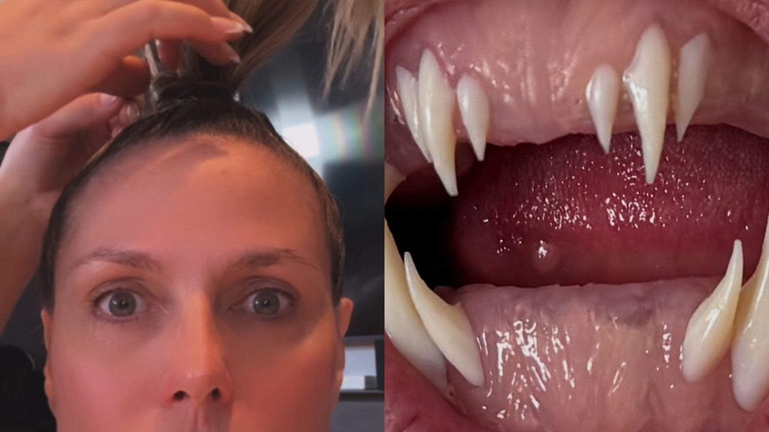 Heidi Klum pokaza³a przygotowania do Halloween. Fani ju¿ zacieraj± rêce