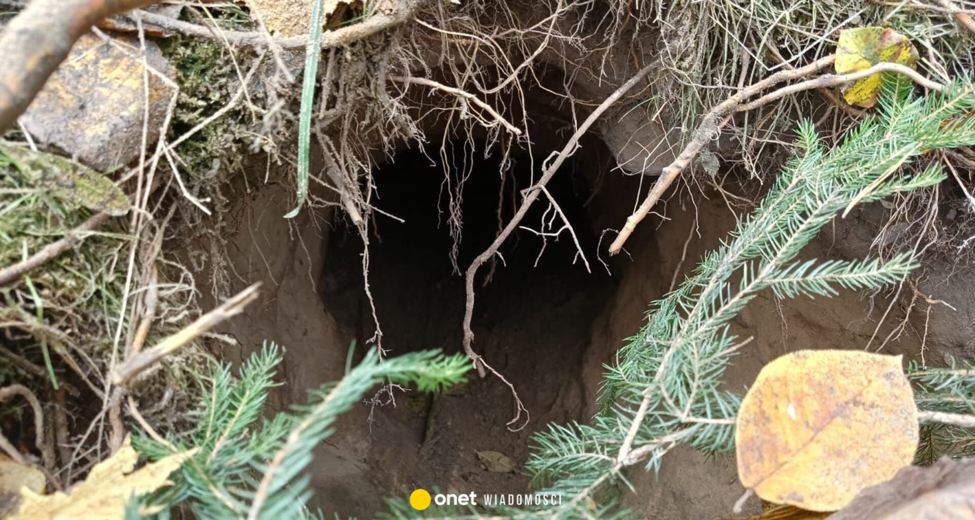 Tunel na granicy z Białorusią. Odkryli go funkcjonariusze Straży Granicznej