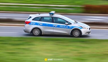 Wypadek podczas pościgu. Radiowóz rozbił się o drzewo, policjant w szpitalu - Onet Wiadomości