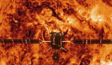 Stopień dojrzałości banana ma znaczenie. Sprawdź, jaki wybrać dla siebie!