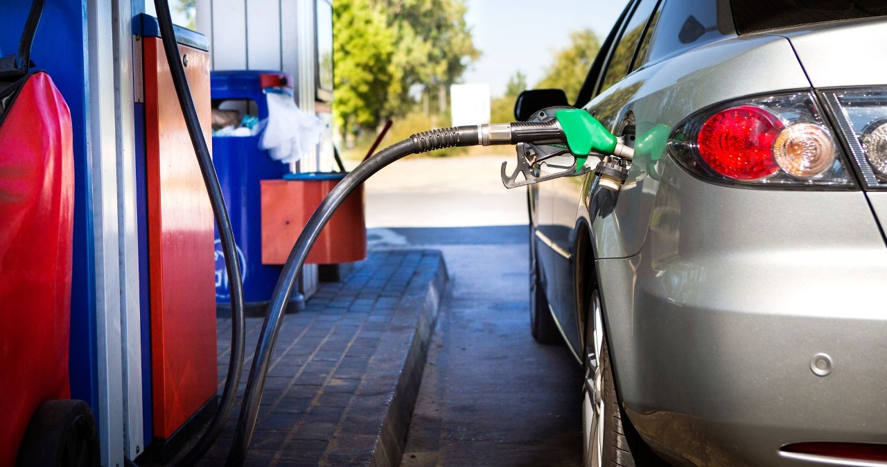 Przejdź na stronę główną INTERIA.PL