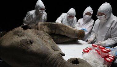 Przejdź na stronę główną INTERIA.PL