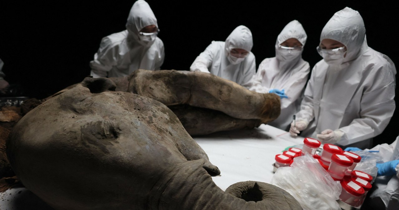 Przejdź na stronę główną INTERIA.PL