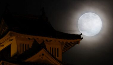 Przejdź na stronę główną INTERIA.PL