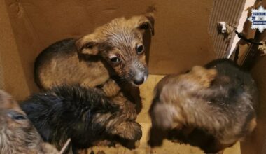 Przejdź na stronę główną INTERIA.PL