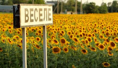 Przejdź na stronę główną INTERIA.PL