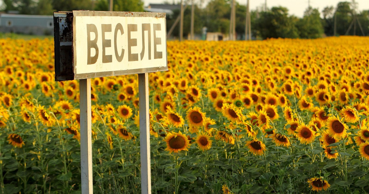 Przejdź na stronę główną INTERIA.PL