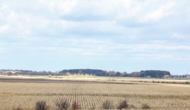 Przejdź na stronę główną INTERIA.PL