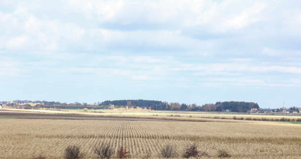 Przejdź na stronę główną INTERIA.PL